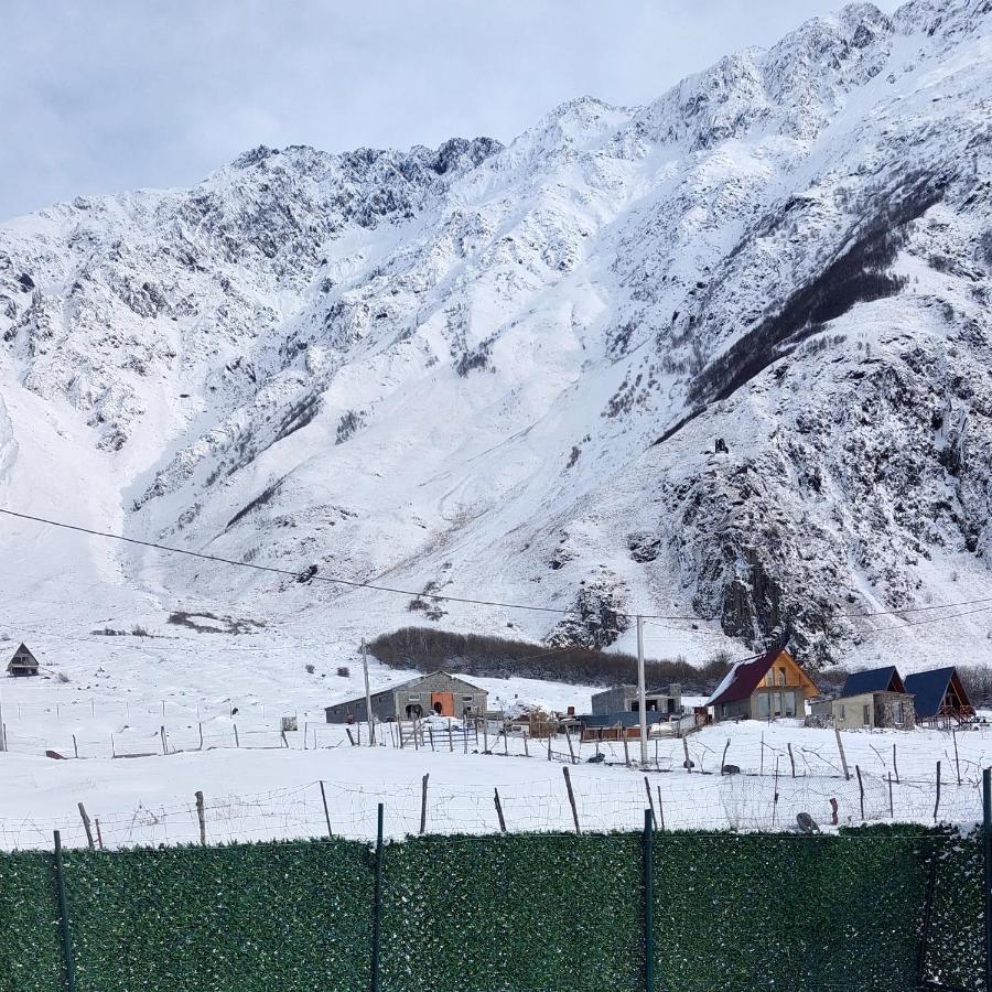 Mood Villa Kazbegi المظهر الخارجي الصورة